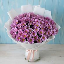 Букет цветов из:  Хризантемы #REPLACE_PRED# Облучье